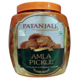 AMLA PICKLE 500 GM – T