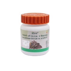 DIVYA SANJEEVANI VATI 160 TAB