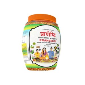 DIVYA PRANESHTI (HAWAN SAMAGRI...