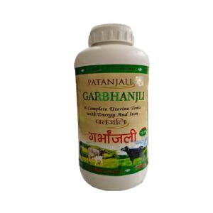 PATANJALI  GARBHANJALI 1 LITTE...