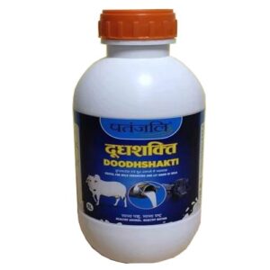 PATANJALI DOODHSHAKTI 1000 ML