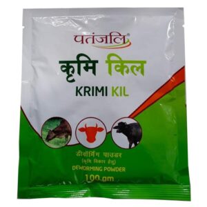 PATANJALI KRIMI KIL 100 GM